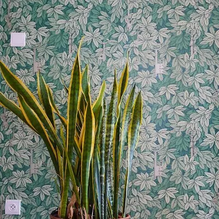 Logis Hotel & Restaurant - Le Saint-Louis 3* La Suze-sur-Sarthe